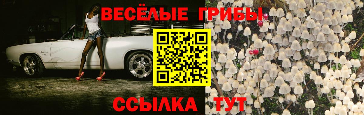 Галлюциногенные грибы Psilocybe  хочу   Вход с VPN  Всеволожск  Галлюциногенные грибы MAGIC MUSHROOMS 
